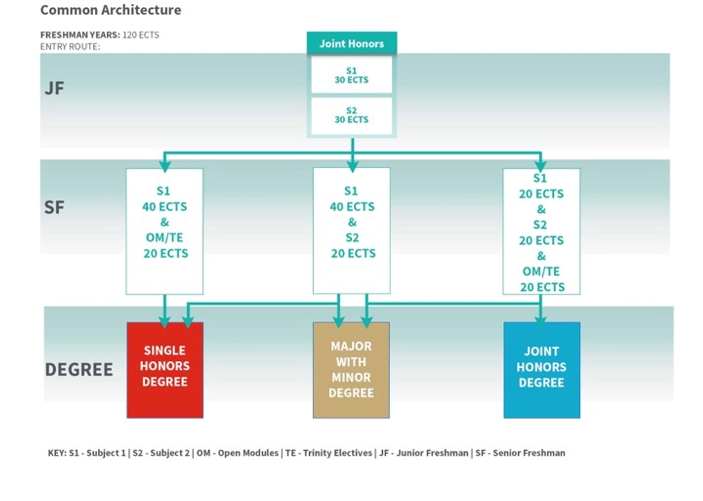 The image shows the first two years (Freshman Years) for a student entering Joint Honours Degree Structure. In first year students take two subjects, both 30 ECTS. In second year, they have three options: Drop a subject to enter Single Honours Pathway; Make one subject dominant in a Major with Minor Degree pathway; or finally stay in Joint Honours Pathway with two equally dominant subjects.