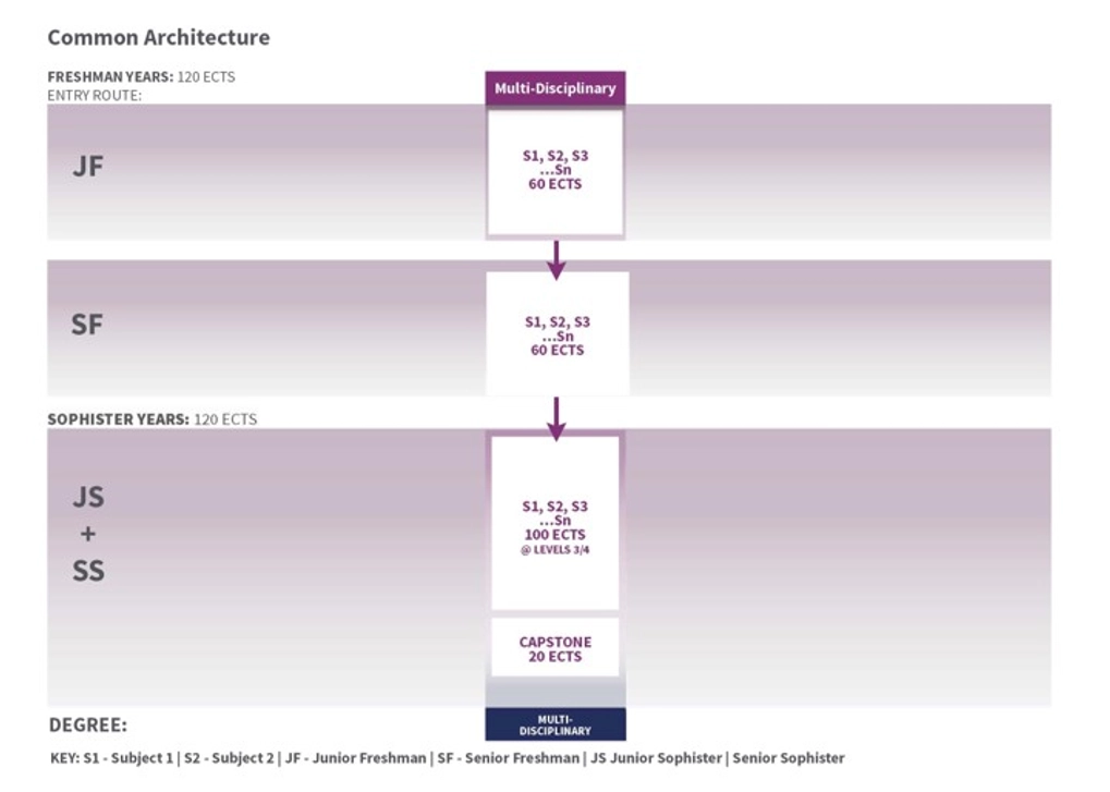 The image shows the Pathway for a multi-disciplinary entry. Students choose a number of subjects in year one, to 60 ECTS, and maintain this in year 2. I the sophister years, the students take a total of 100 ECTS over two years in their number of subjects and complete a 20 ECTS capstone project in year 4.