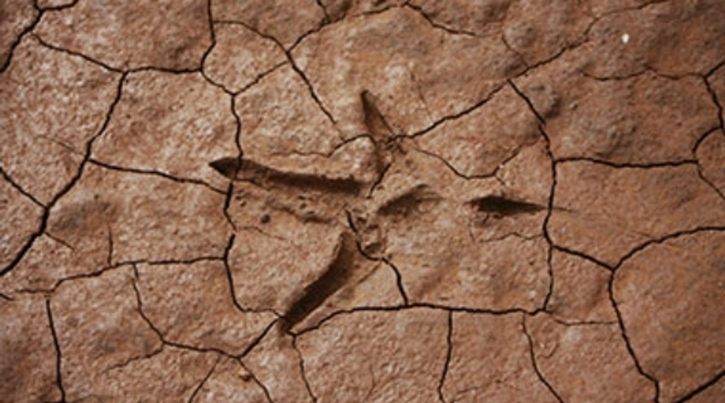 research-challenges-environment