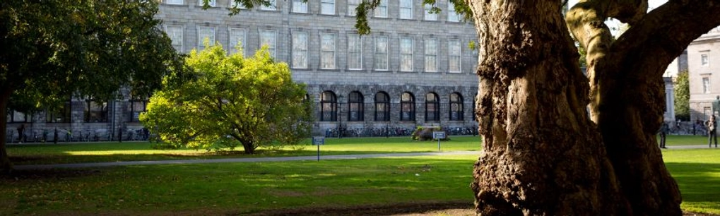 A green space with large trees facing the Old Library.