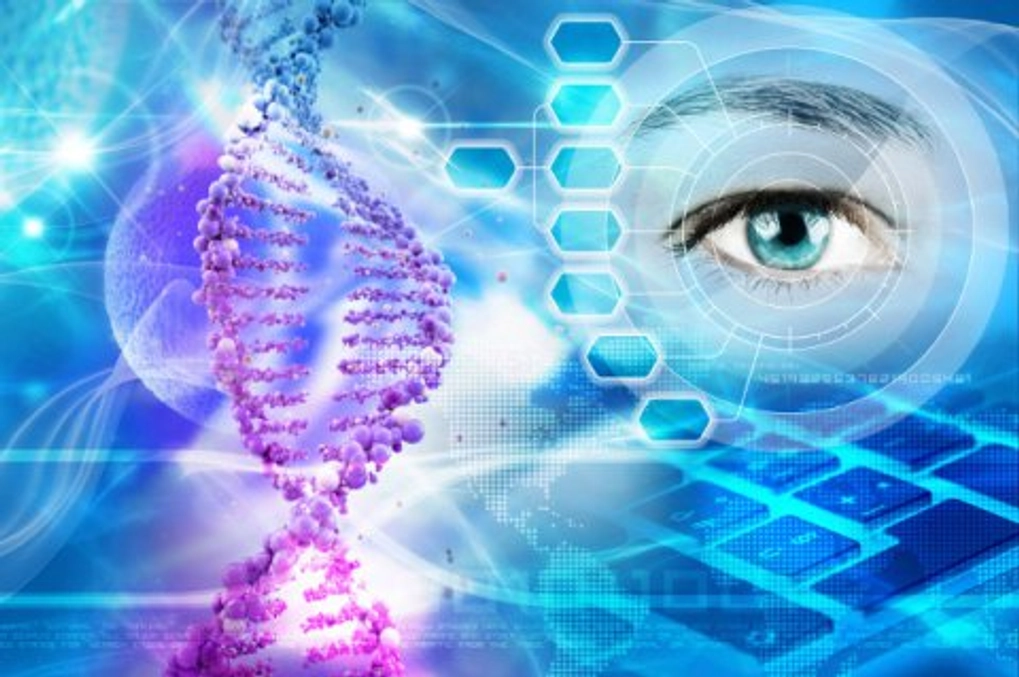human eye and Human papilloma virus DNA