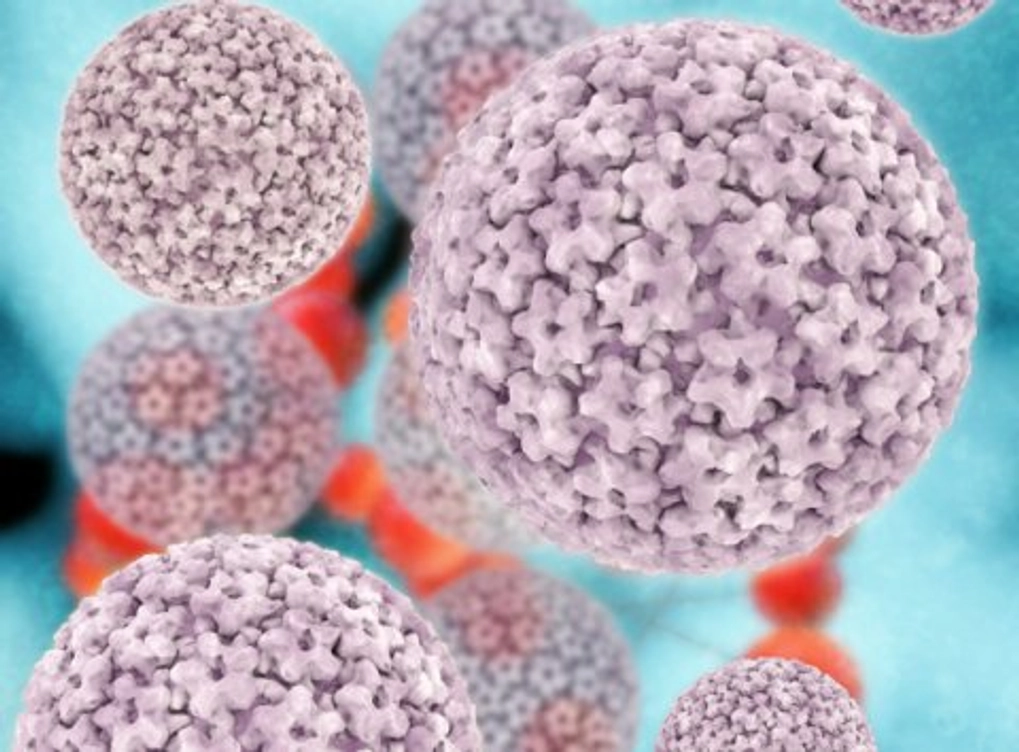 A group of cells