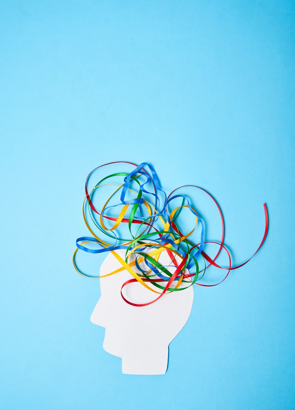 Brain