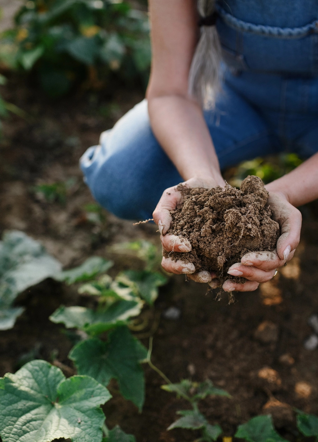 Woman holding soil