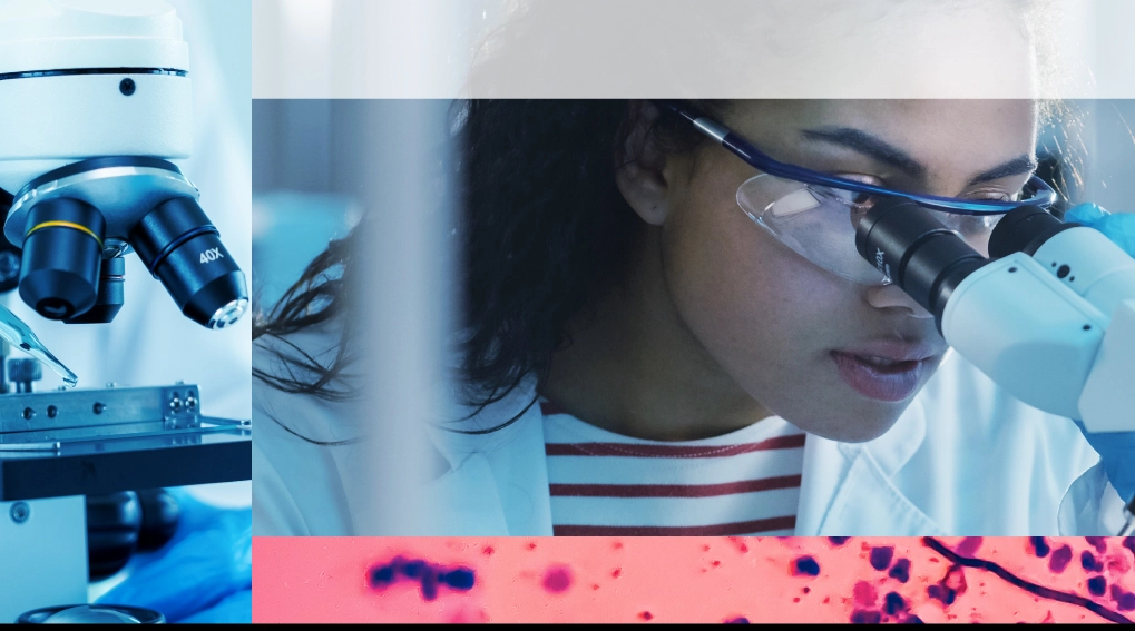 A young women working in a lab
