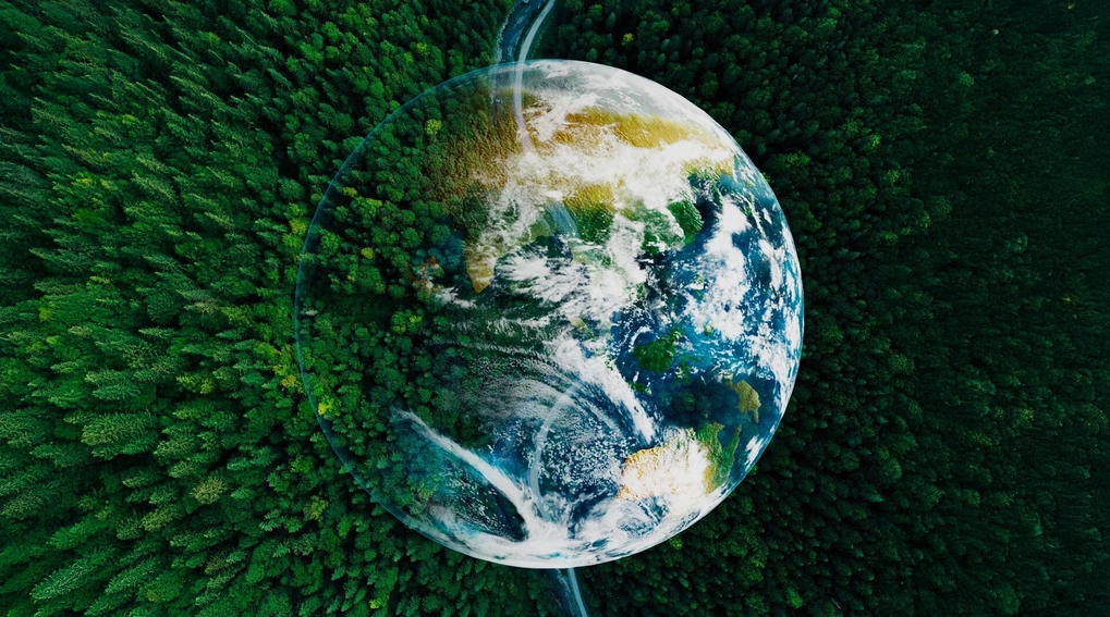 Image of the earth