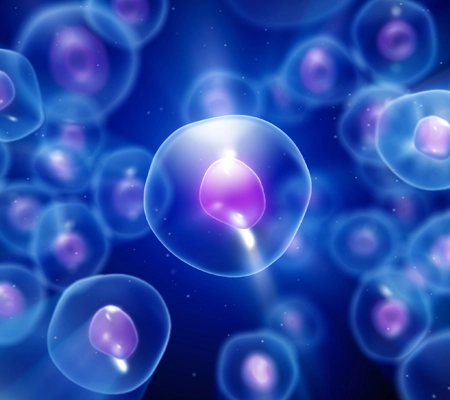 Cells