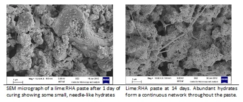 Two images beside each other. One of a SEM micrgraph of a lime:RHA paste after 1 day of curing showing some small, needle-like hydrates. The second image is of lime:RHA paste at 14 days. Abundant hydrates form a continuous network throughout the paste