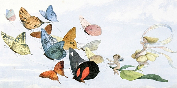an image of butterflies and little people