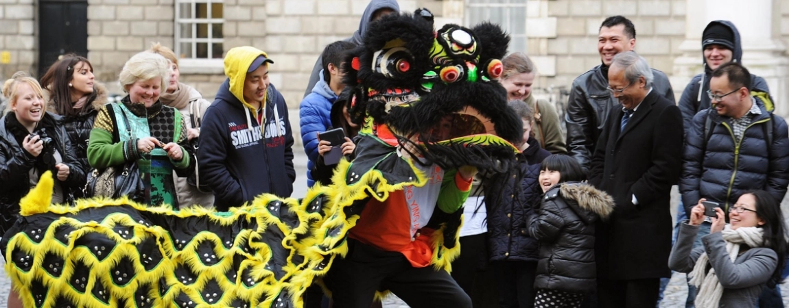 Chinese new year celebration