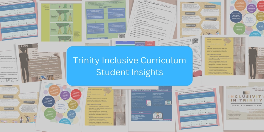 Trinity Inclusive Curriculum Student Insights with a collage of the available posters on the this page.