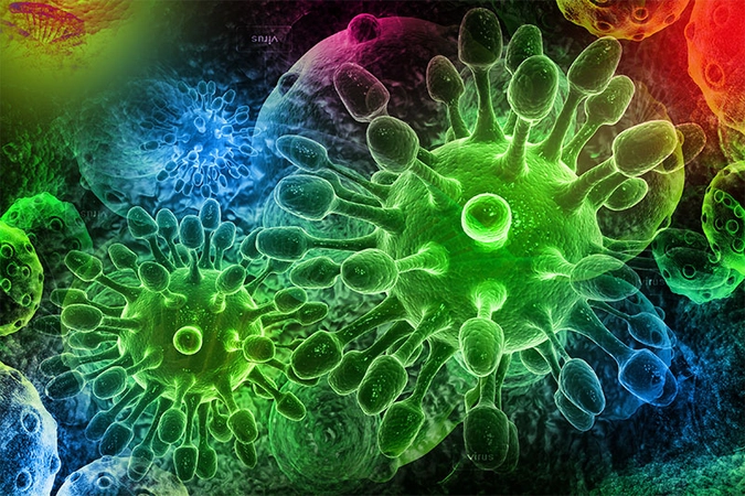 Infectious viruses