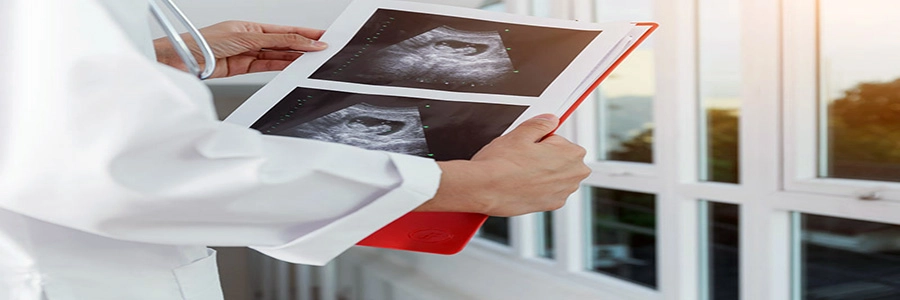 Doctor reviewing a Obstetrics-Gynaecology scan