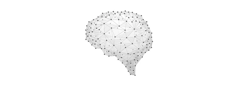 Neuroscience banner