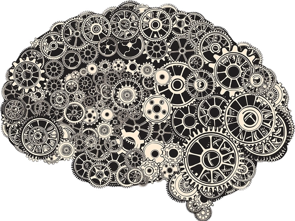 cognitive brain