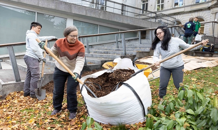 Prof Yvonne Buckley and student preparing soil for pocket forest in front of Parson's Building.
