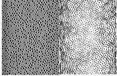 2d foamflow