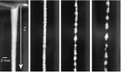 foams granular image