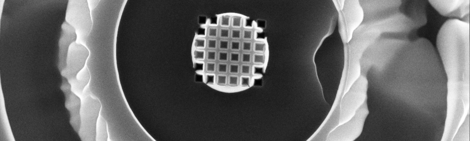 GC5 imaging