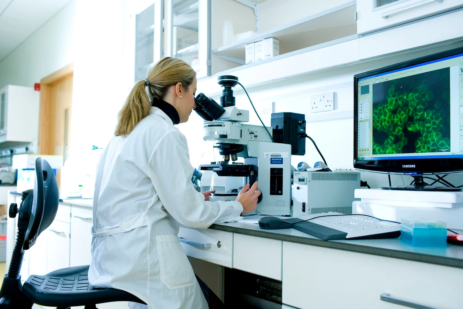 Anatomy Discipline Research Laboratory Denis Barry Danny Johnson  (2)
