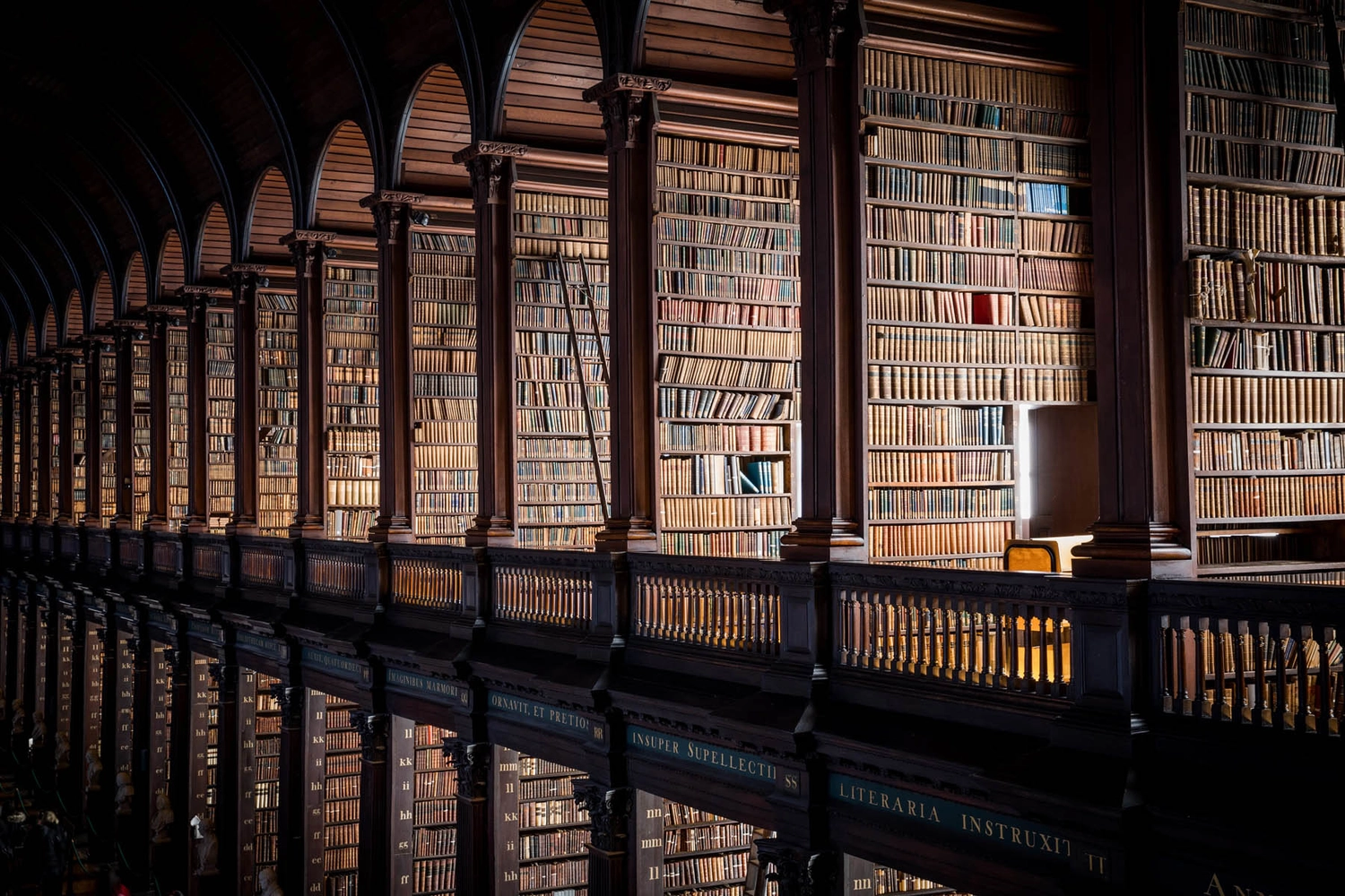 Long Room Shelves
