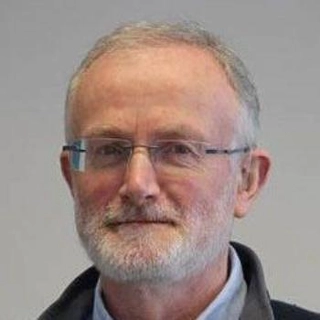 Professor Henry Lamb