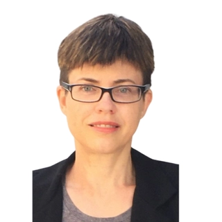 Professor