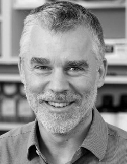 Professor Mark Little