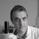 Dr. Patrick Walsh