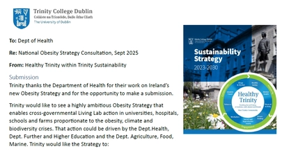 National Obesity Strategy Consultation