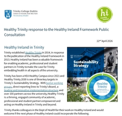 Healthy Ireland Consultation response