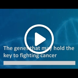 The genes that may hold the key to fighting cancer