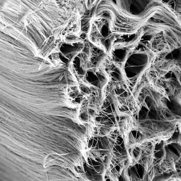 Bundle, Ni nanowires