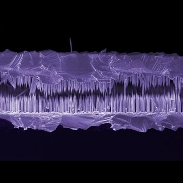 Gallium arsenide nanowire