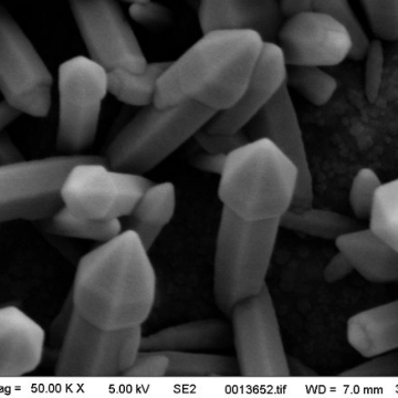 Zinc oxide (ZnO) hierarchical nanostructure