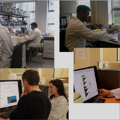 Fleming Lab
