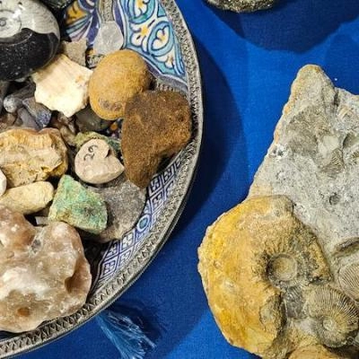 Rock and fossil specimens of assorted sizes, shapes and colours
