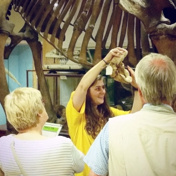 Zoology Museum Gallery 4