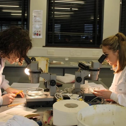 Marine ecology in Portaferry 3