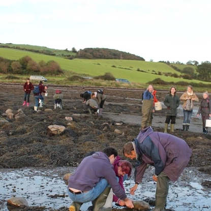 Marine ecology in Portaferry 4