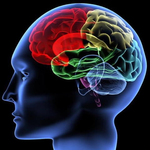 Concerning 20-year knowledge gap on young adult brain health 