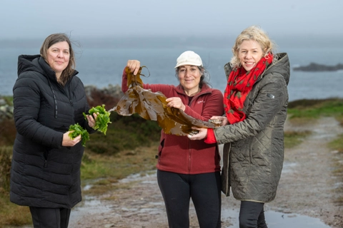 Ocean farmers join forces with researchers to explore potential of nature-positive economy   