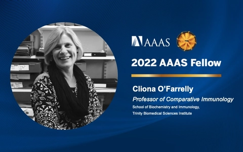 Professor Cliona O&rsquo;Farrelly named 2022 AAAS Fellow