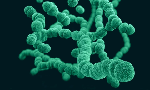 A new bacterial blueprint to aid in the war on antibiotic resistance
