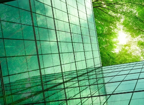 Weston Foundation Scholarship to fund MSc in Responsible Business & Sustainability