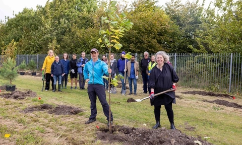A New Leaf: Trinity plants trees in Santry