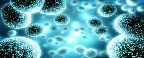 Scientists discover how anti-viral cytokines can blunt the immune response to tuberculosis