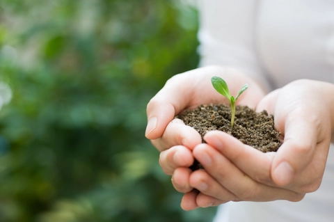 Seven Trinity projects awarded Irish Research Council &lsquo;New Foundations&rsquo; funding