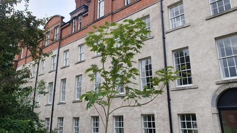 Tree of the month - &lsquo;Rouge de Touilliere&rsquo;
