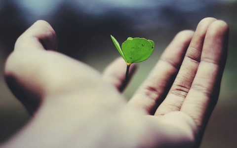 Twelve projects awarded Irish Research Council &lsquo;New Foundations&rsquo; funding
